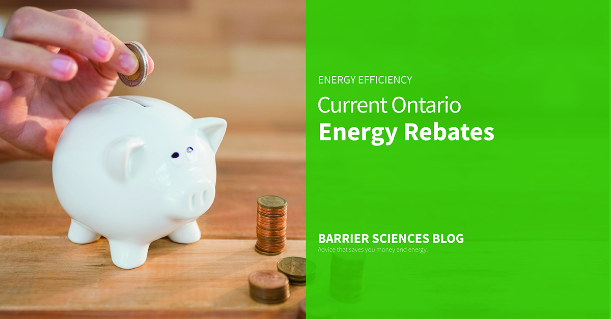 Government Rebate Energy